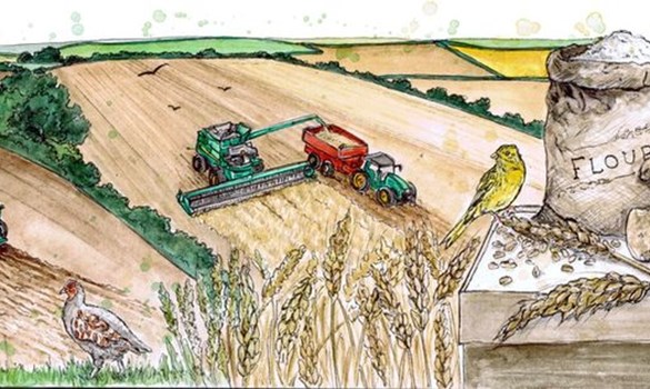 Picture drawn by Eleanor Tomlinson of Meley farm. 